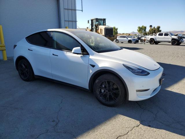  TESLA MODEL Y 2021 White