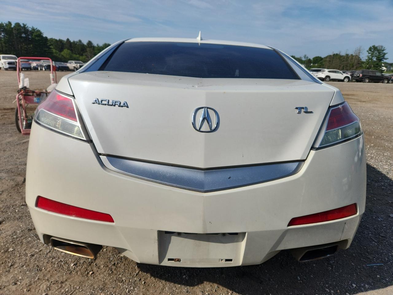 2009 Acura Tl VIN: 19UUA86219A025598 Lot: 68762515