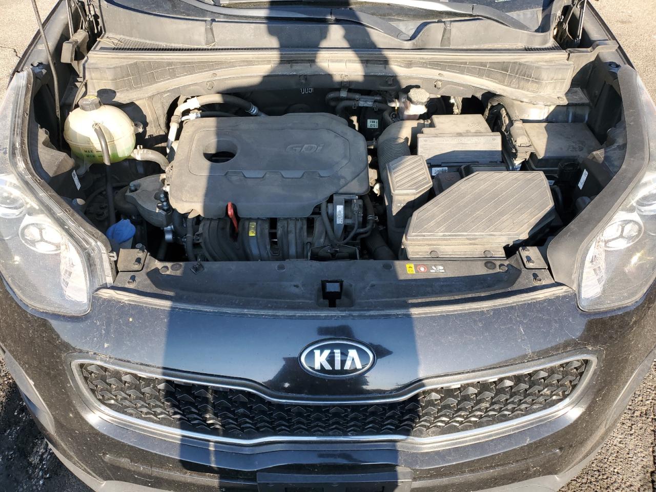 2017 Kia Sportage Lx VIN: KNDPM3AC7H7109488 Lot: 66031725