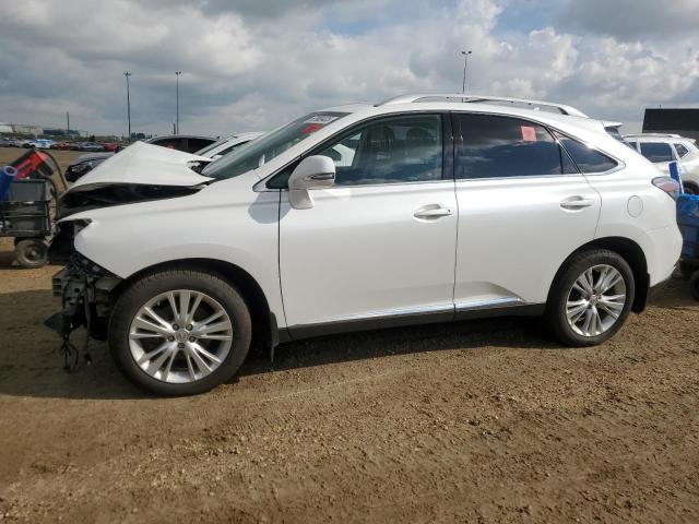 2010 LEXUS RX 350   for sale at Copart AB - EDMONTON