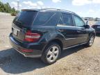 2010 MERCEDES-BENZ ML 350 BLUETEC   for sale at Copart FL - TAMPA SOUTH
