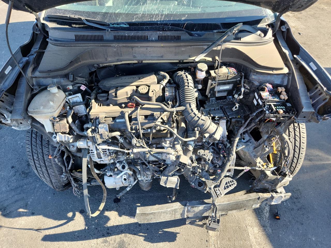 2022 Hyundai Kona Limited VIN: KM8K53A39NU789331 Lot: 68384435