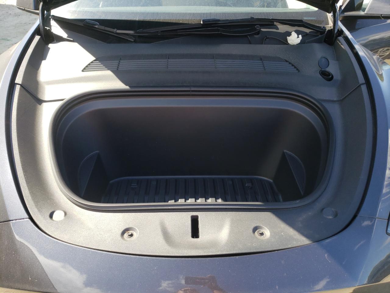 2024 Tesla Model Y VIN: 7SAYGDEE3RA328408 Lot: 70861915