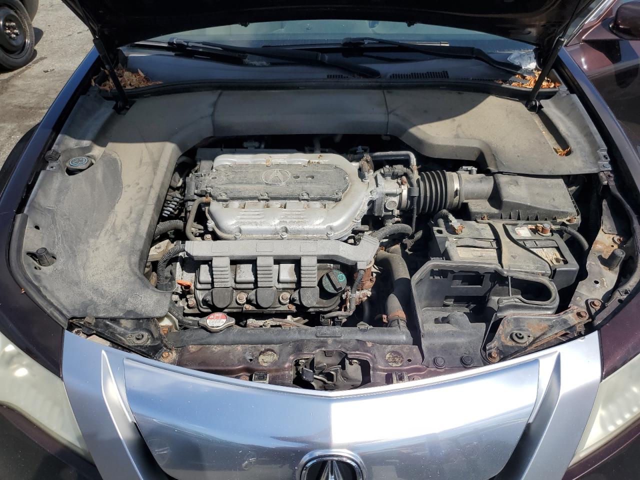 2009 Acura Tl VIN: 19UUA86529A008027 Lot: 69418745