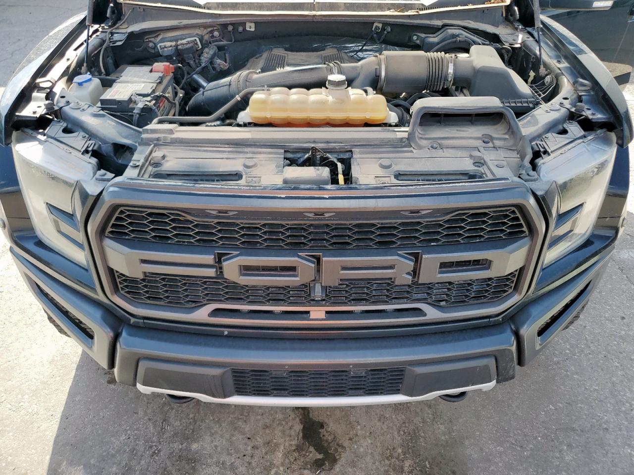 2017 Ford F150 Raptor VIN: 1FTFW1RGXHFB33114 Lot: 68137685