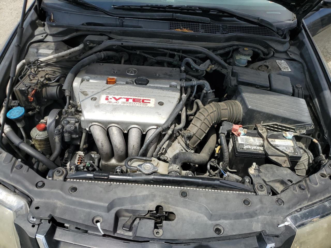 2004 Acura Tsx VIN: JH4CL96984C030686 Lot: 69695525