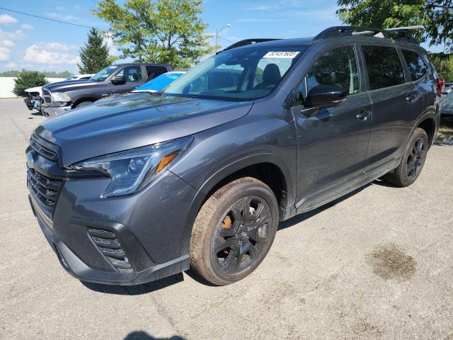 SUBARU ASCENT ONY 2025