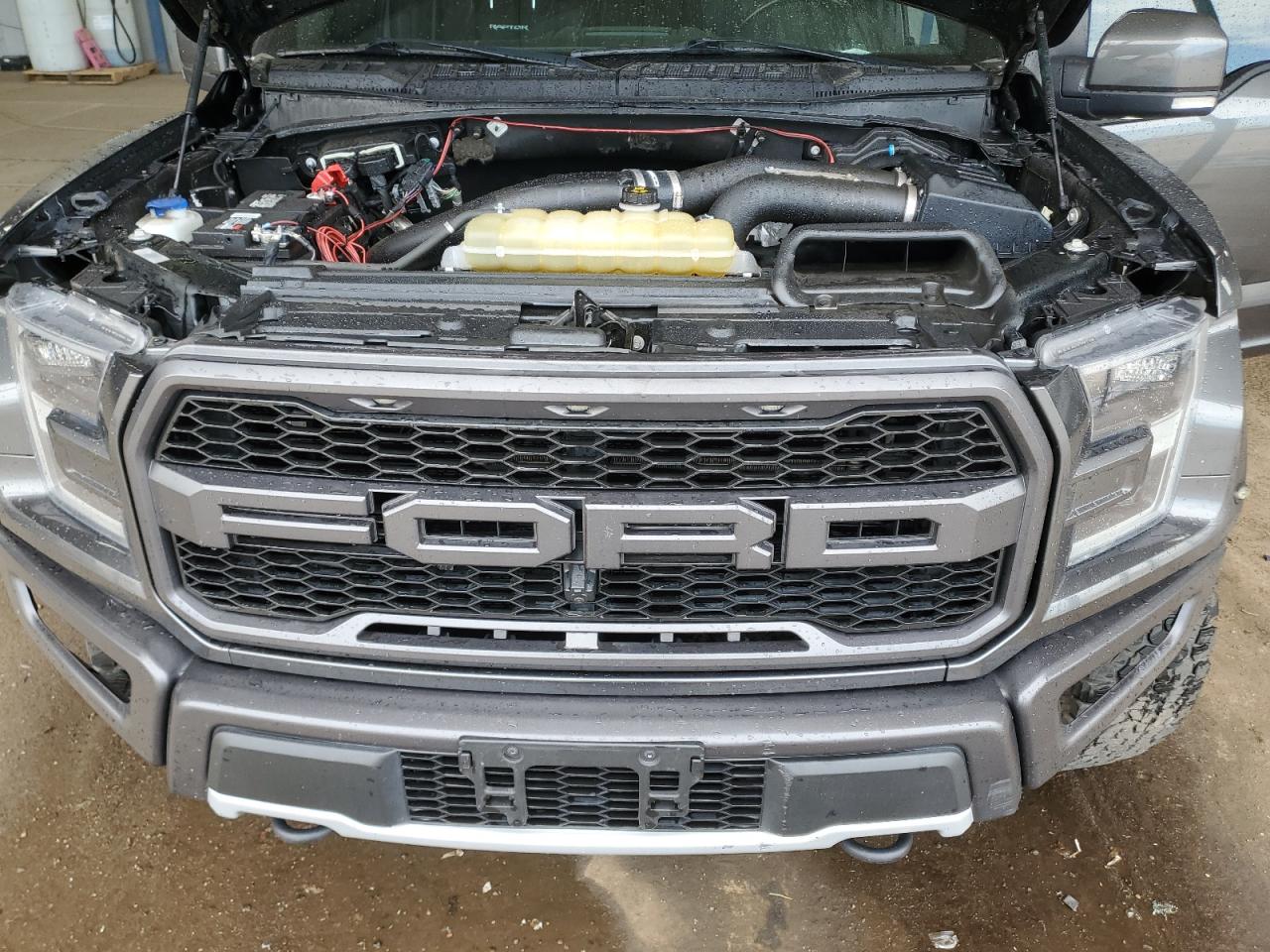 2019 Ford F150 Raptor VIN: 1FTFW1RG5KFB17233 Lot: 68325715