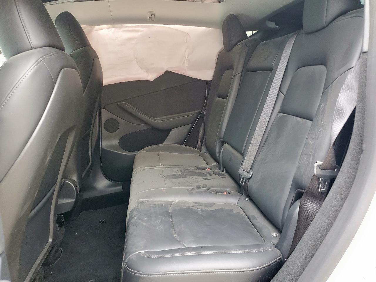 2024 Tesla Model Y VIN: 7SAYGDED6RF040196 Lot: 67114345