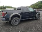 2013 FORD F150 SVT RAPTOR   à vendre chez Copart NY - NEWBURGH