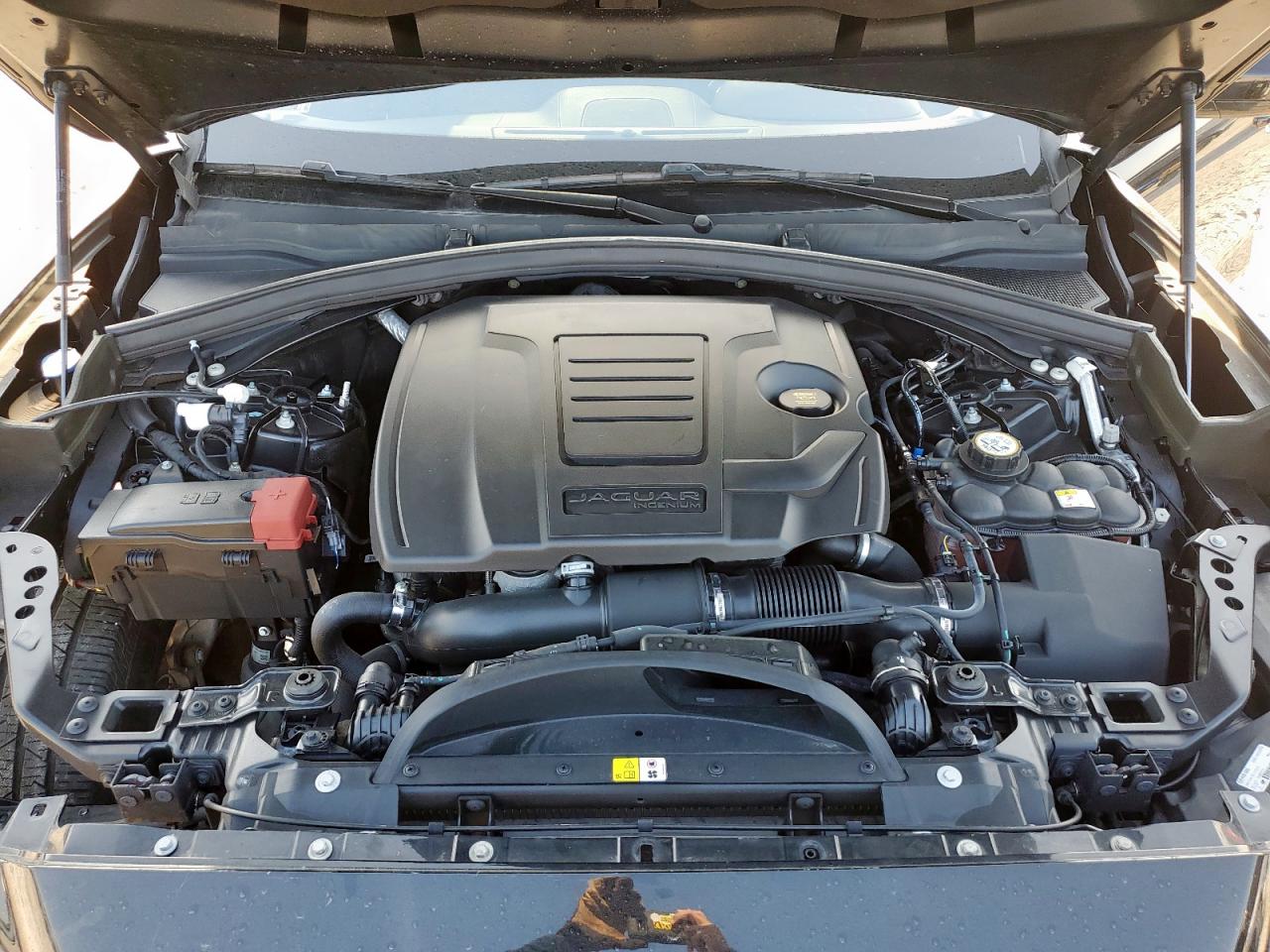 2019 Jaguar F-Pace Prestige VIN: SADCK2FX8KA398583 Lot: 68264225