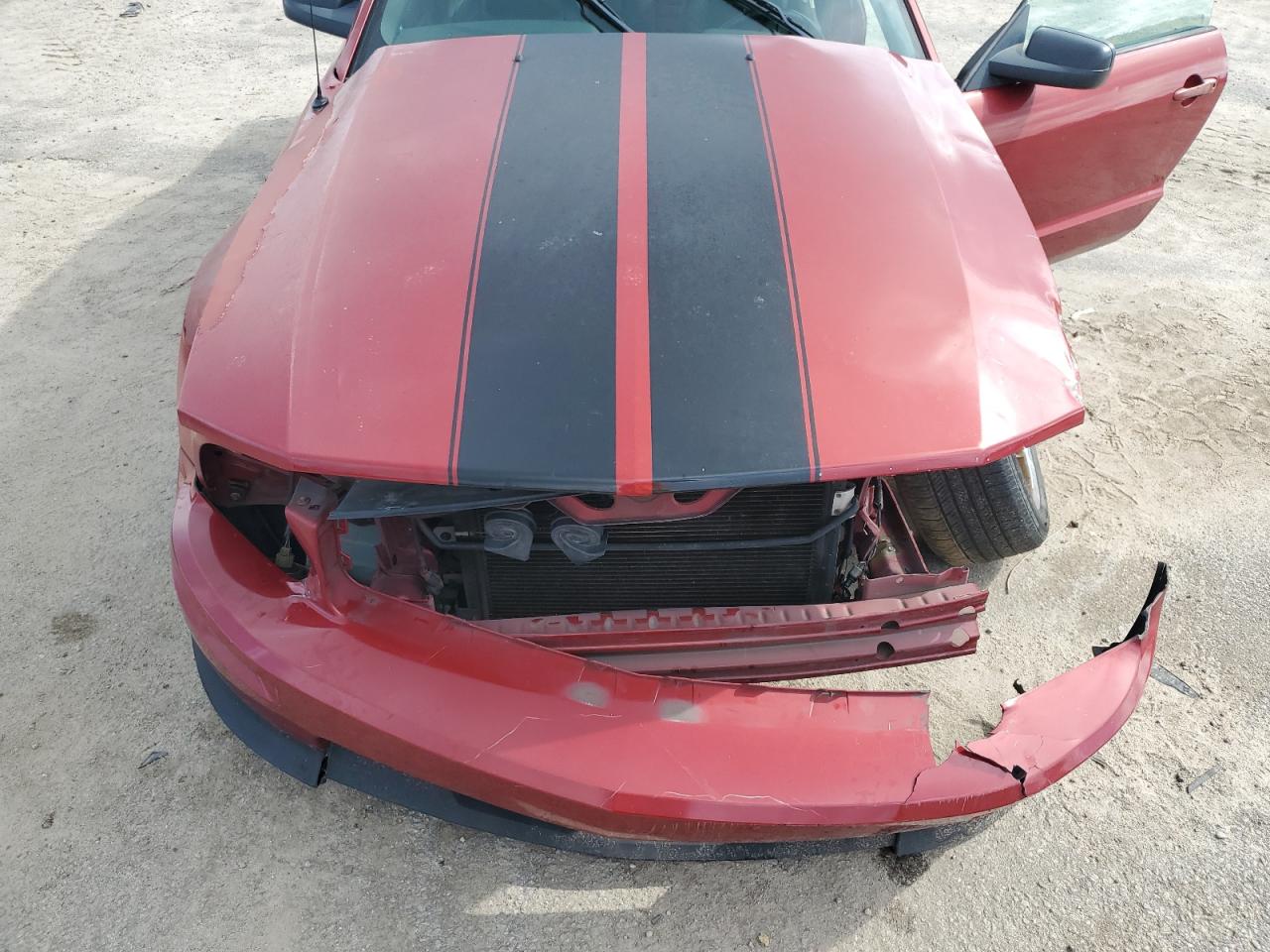 2008 Ford Mustang VIN: 1ZVHT80N285103890 Lot: 68451155