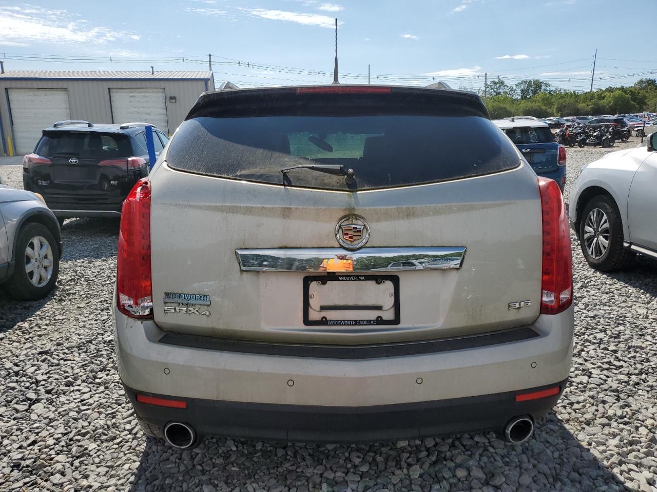 2013 Cadillac Srx Luxury Collection VIN: 3GYFNGE33DS629008 Lot: 70563595