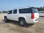 2011 GMC YUKON XL K1500 SLT   for sale at Copart ON - TORONTO