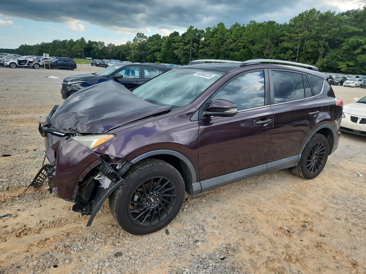 2017 Toyota Rav4 Xle purple null gas 2T3WFREV1HW403378 photo #1