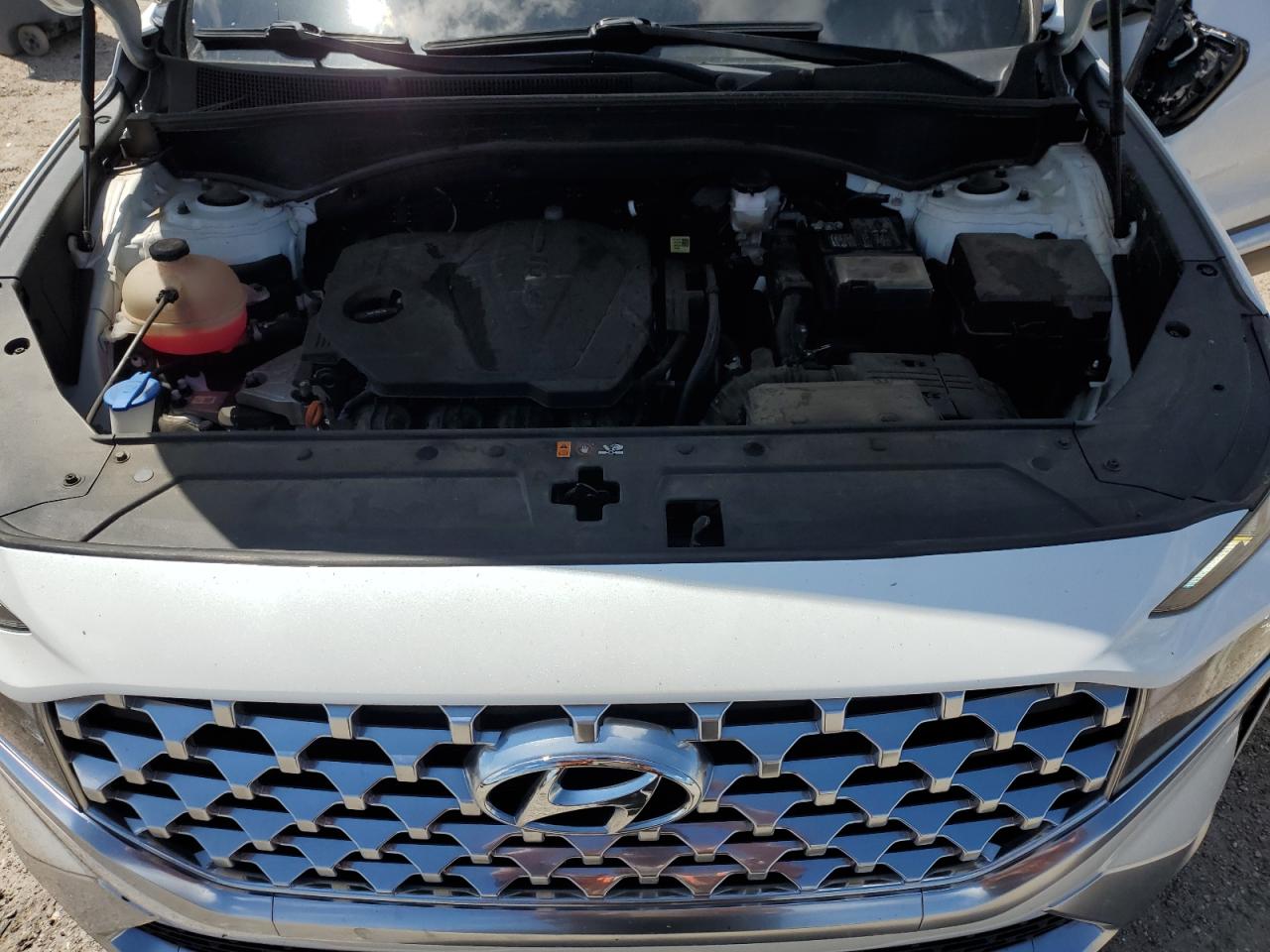 2022 Hyundai Santa Fe Sel VIN: 5NMS2DAJ5NH466919 Lot: 69134005