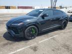 2019 LAMBORGHINI URUS    for sale at Copart CA - VAN NUYS