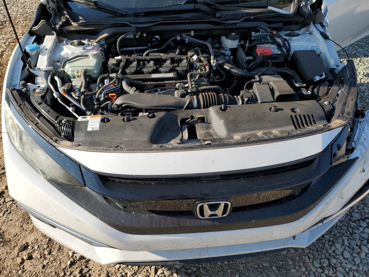 2019 Honda Civic Exl VIN: 19XFC1F75KE003899 Lot: 69368045