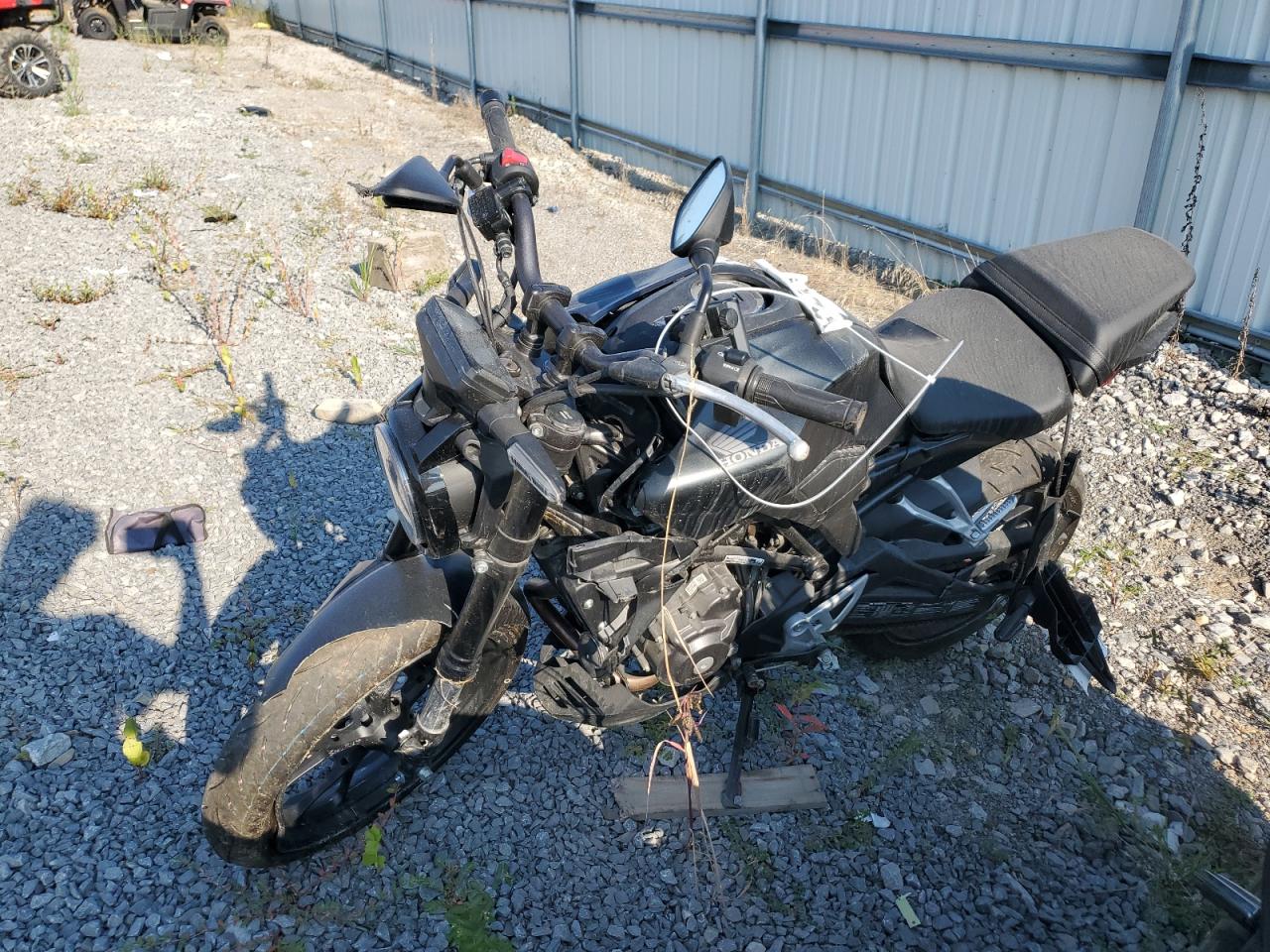 2024 Honda Cbf300 Na black null gas MLHNC5559R5400280 photo #3