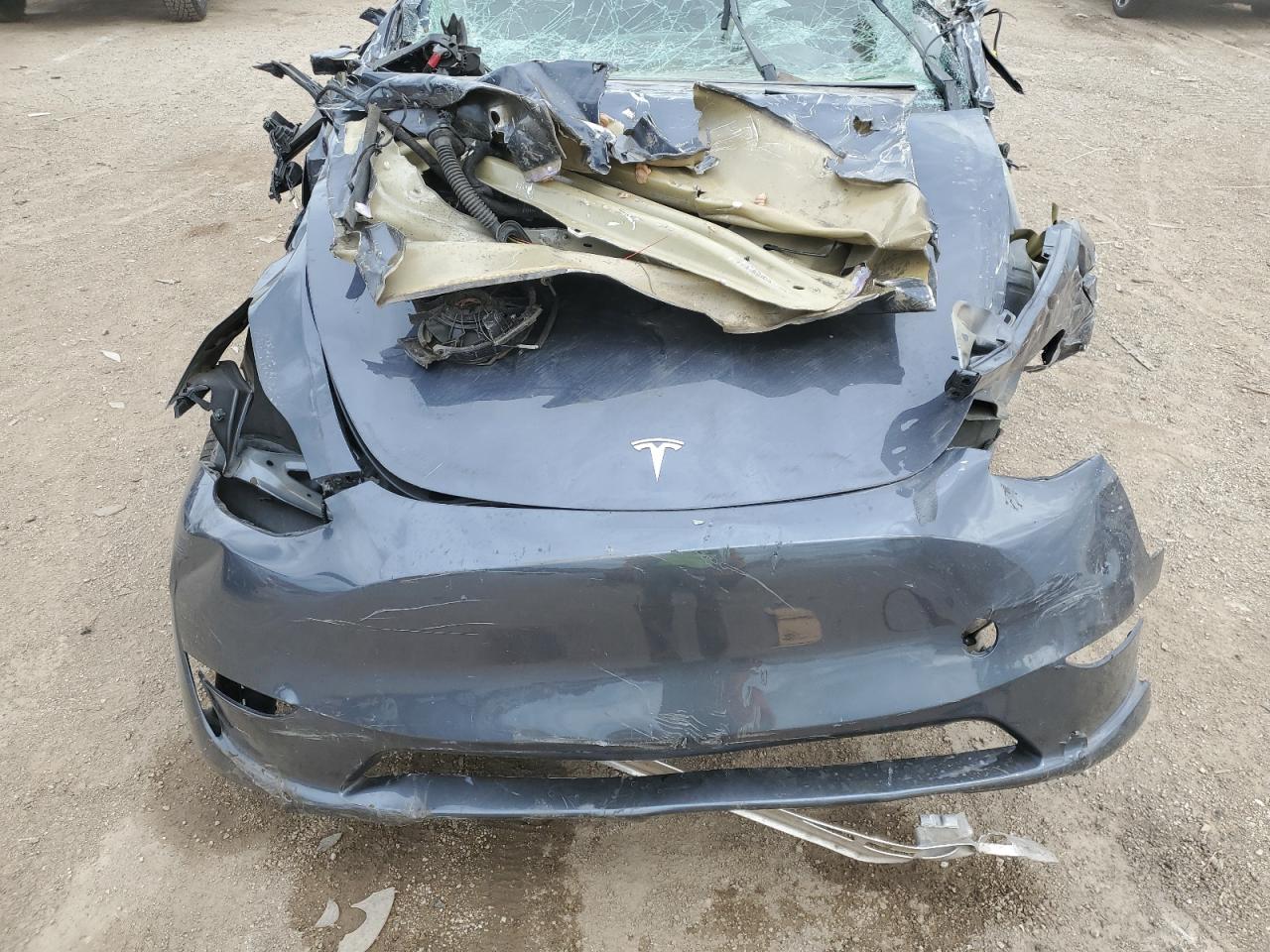 2023 Tesla Model Y VIN: 7SAYGDEE7PF752951 Lot: 70363285