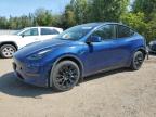 2021 TESLA MODEL Y    for sale at Copart ON - COOKSTOWN