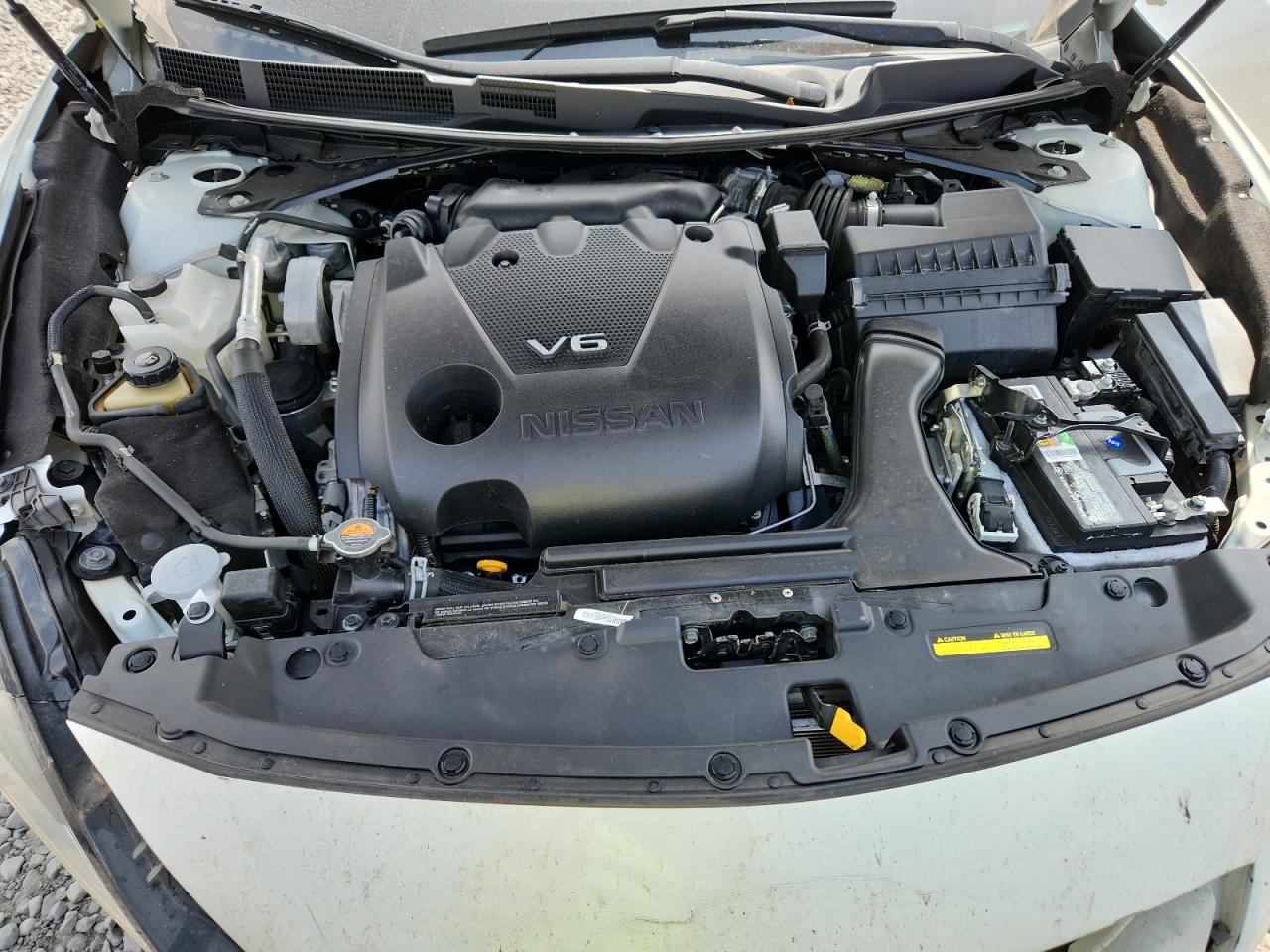 2019 Nissan Maxima S VIN: 1N4AA6AV1KC366457 Lot: 66857075