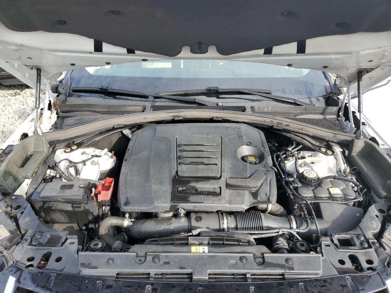 2019 Land Rover Range Rover Velar S VIN: SALYB2EX2KA235908 Lot: 67541405