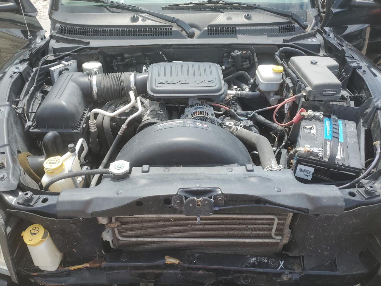 2006 Dodge Dakota Quad Slt VIN: 1D7HW48K26S714780 Lot: 67931165