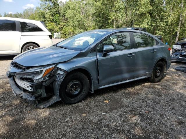 2024 TOYOTA COROLLA LE   for sale at Copart ON - COOKSTOWN