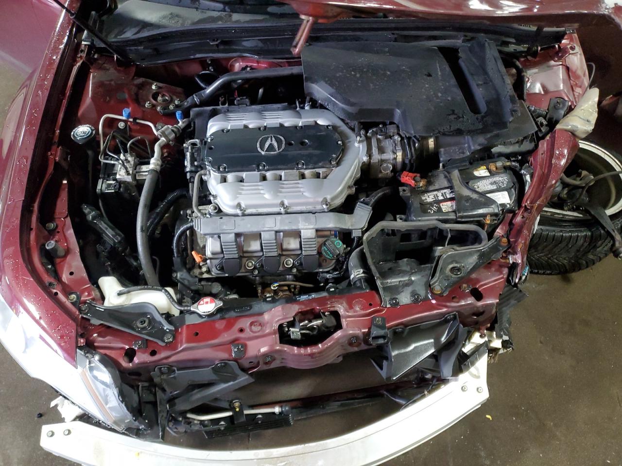 2011 Acura Tl VIN: 19UUA9F50BA002805 Lot: 67802405