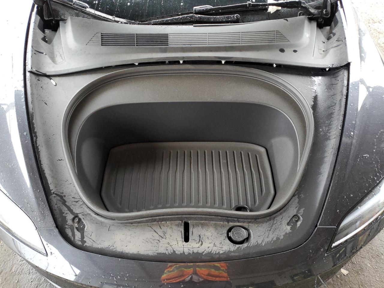 2025 Tesla Model 3 VIN: 5YJ3E1EA2SF971317 Lot: 66922985