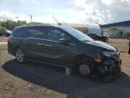 2019 HONDA ODYSSEY EXL   for sale at Copart CT - HARTFORD SPRINGFIELD