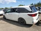 2023 HONDA ODYSSEY BLACK EDITION   à vendre chez Copart ON - TORONTO