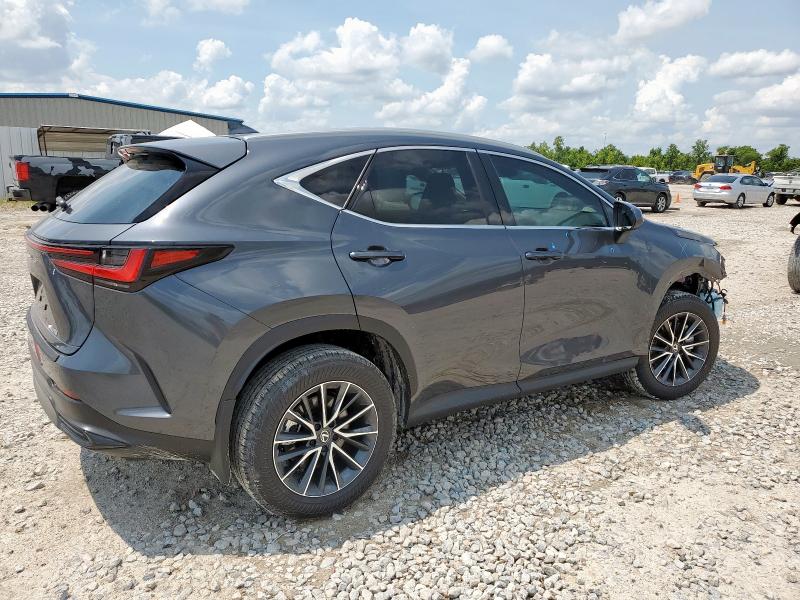  LEXUS NX 250 BAS 2025 Серый