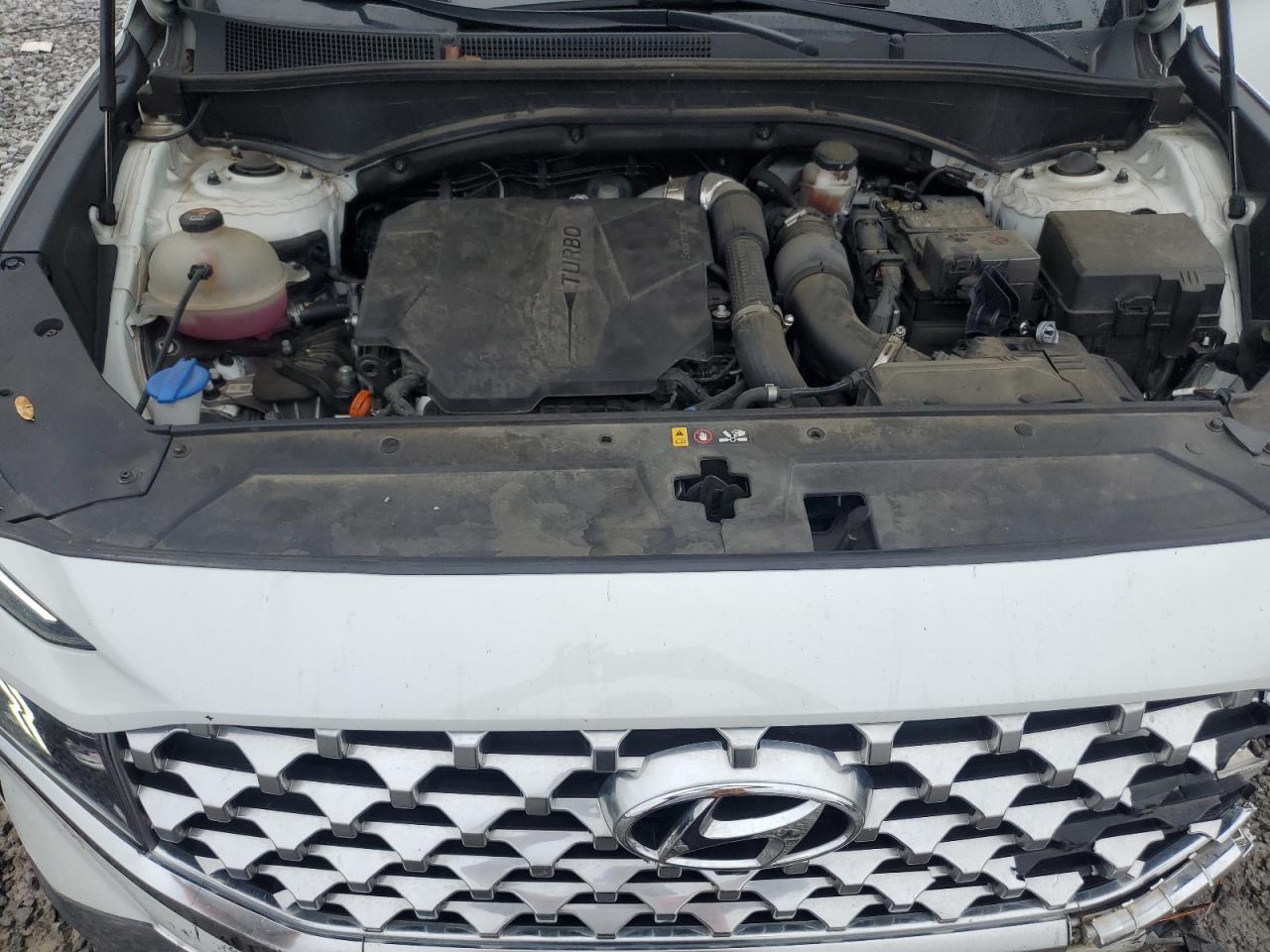 2022 Hyundai Santa Fe Limited VIN: 5NMS44AL6NH416431 Lot: 67617795