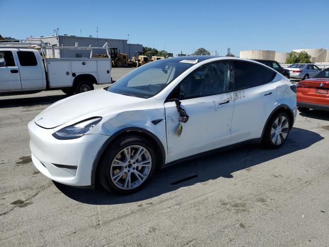  TESLA MODEL Y 2021 Biały