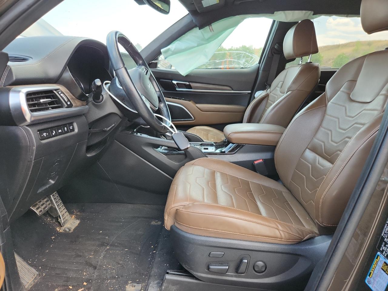 2022 Kia Telluride Sx VIN: 5XYP5DHC7NG243344 Lot: 69099235