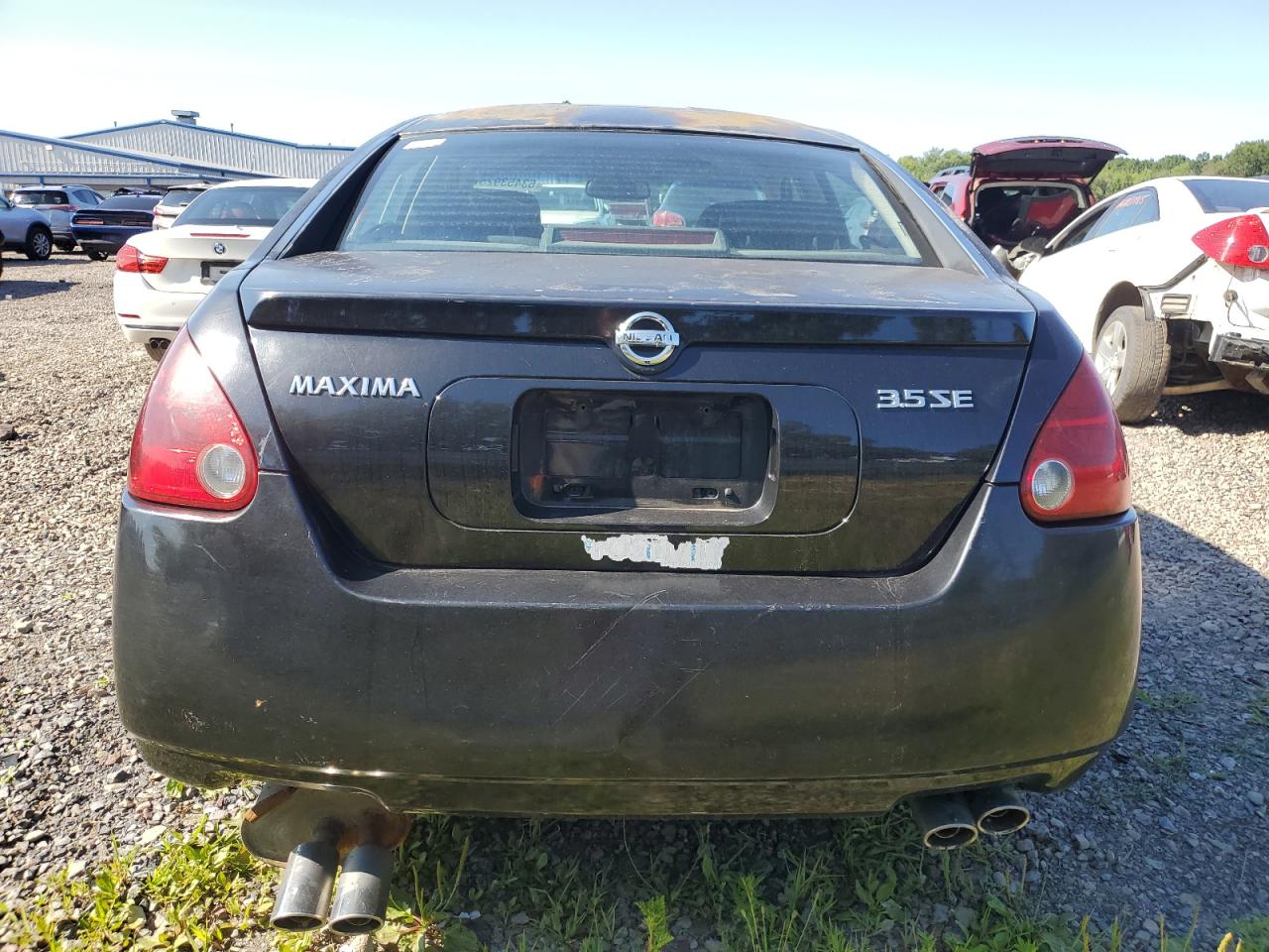 2004 Nissan Maxima Se VIN: 1N4BA41E84C871309 Lot: 63453925