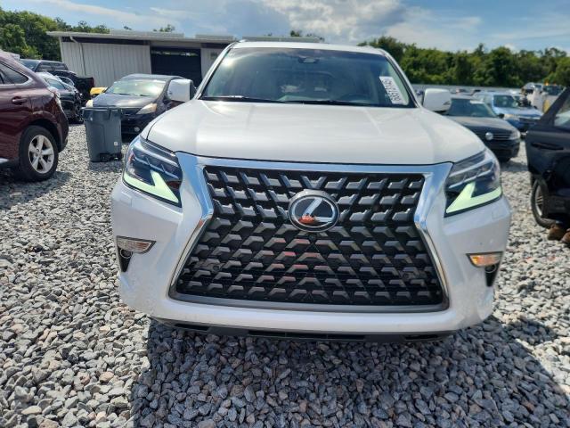  LEXUS GX 2020 Biały