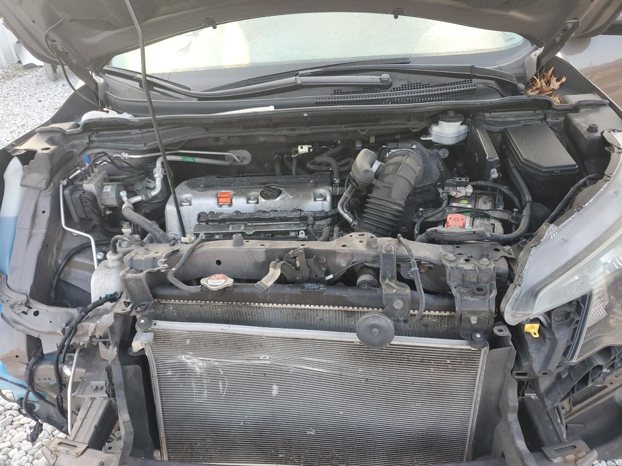 2014 Honda Cr-V Exl VIN: 2HKRM4H77EH667100 Lot: 68312815