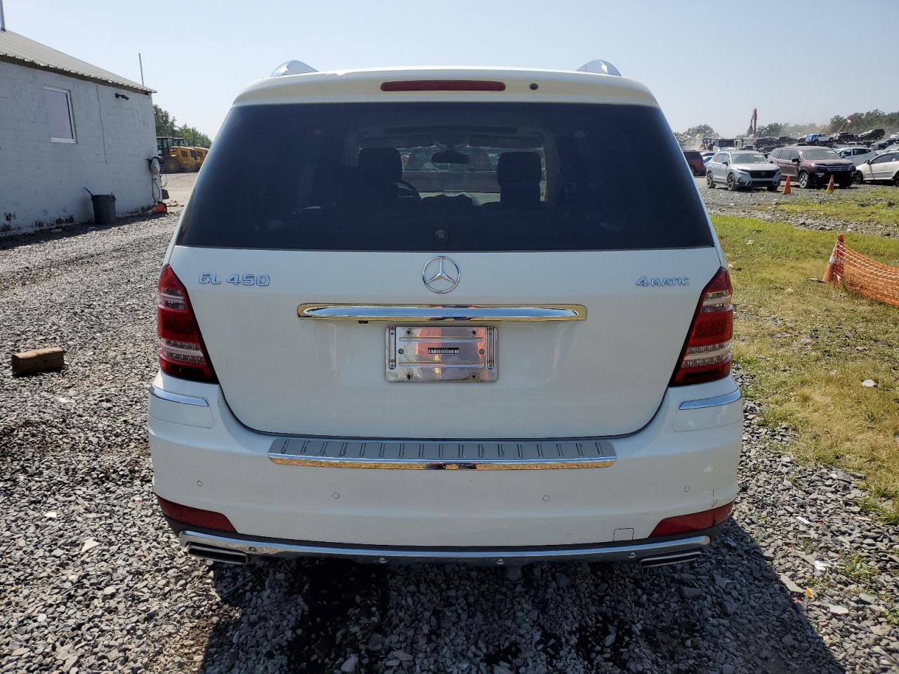 2010 Mercedes-Benz Gl 450 4Matic VIN: 4JGBF7BE0AA593858 Lot: 67915845