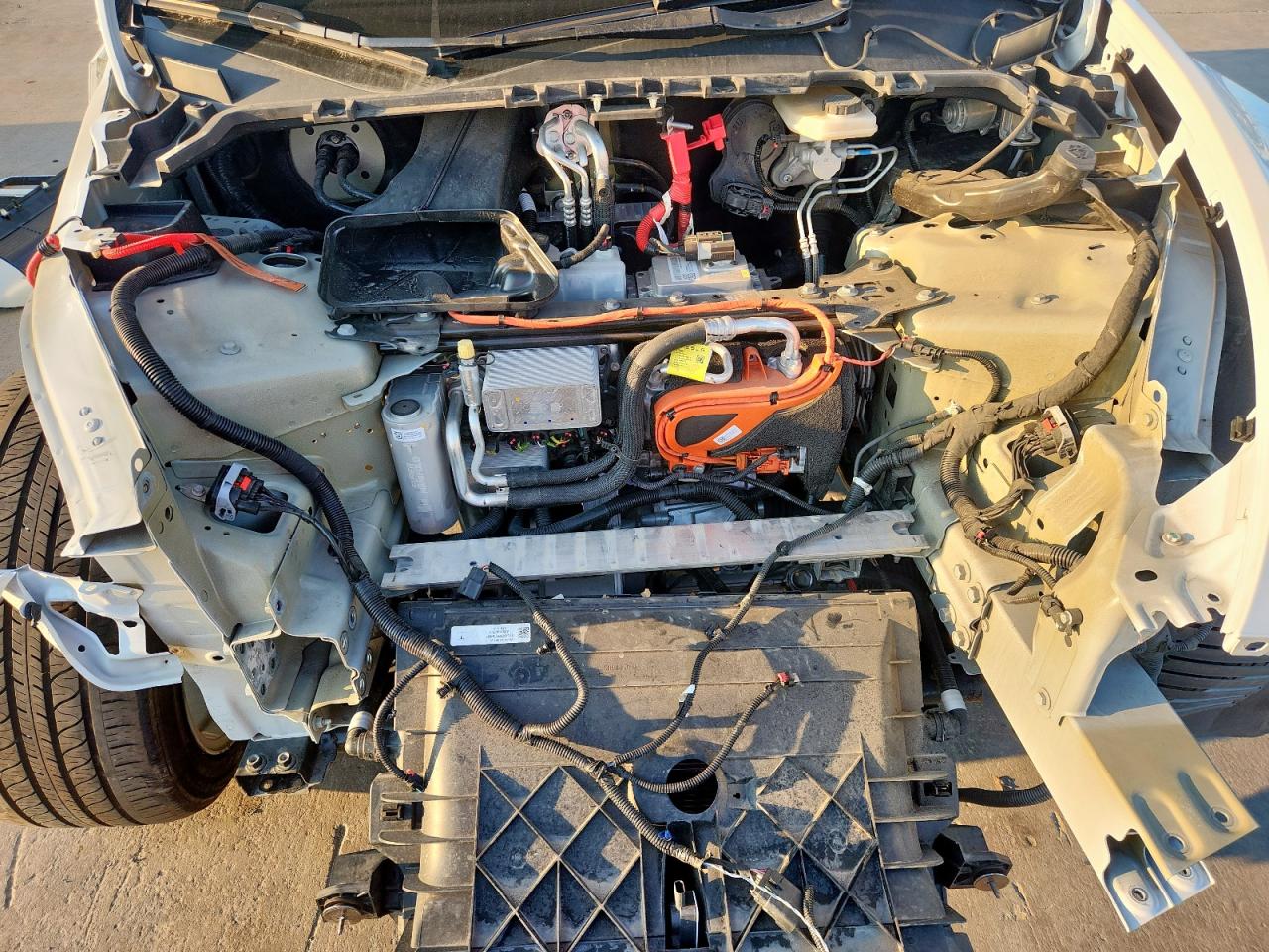 2023 Tesla Model Y VIN: 7SAYGAEEXPF925408 Lot: 68682505