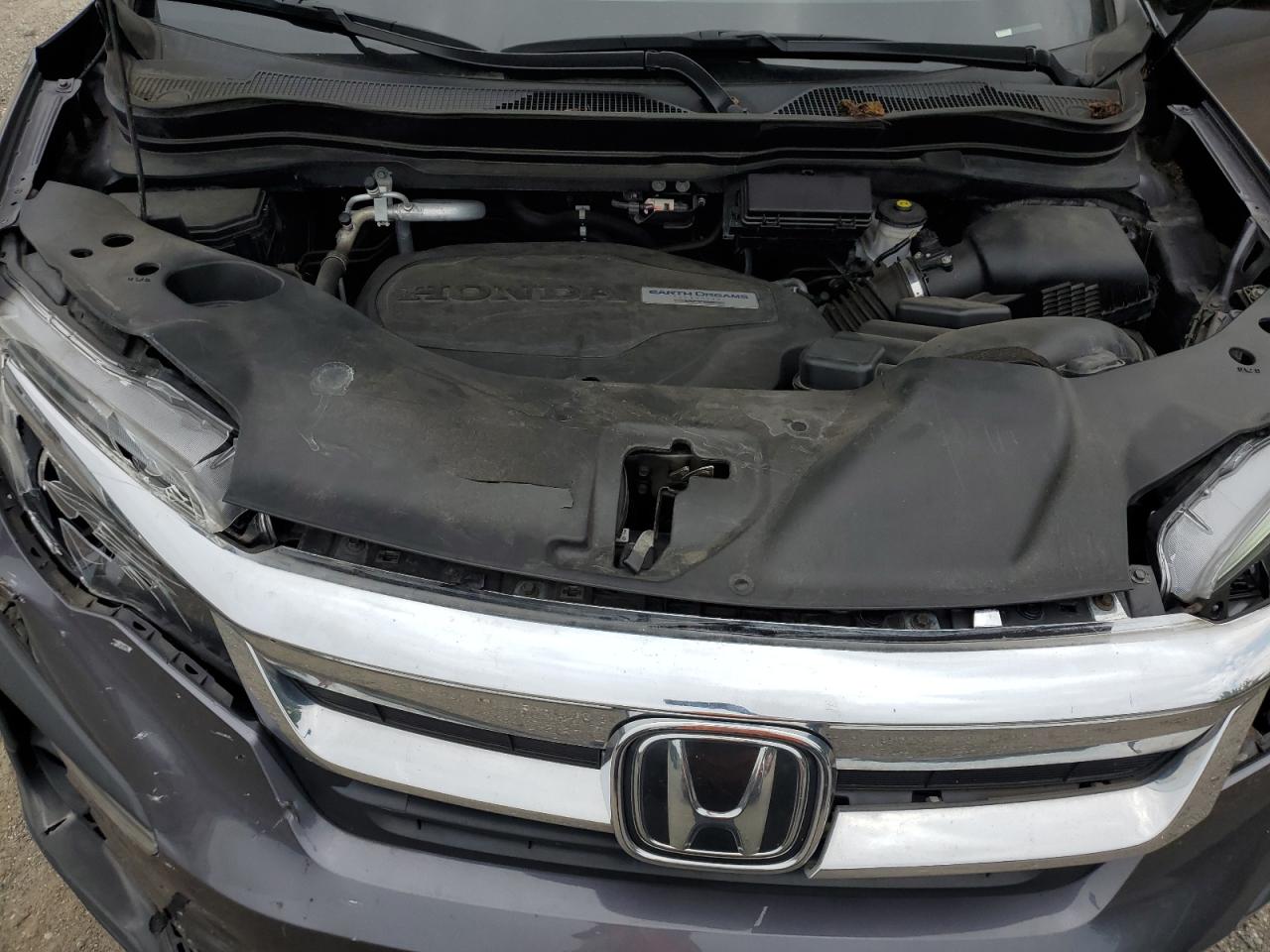 2020 Honda Pilot Exl VIN: 5FNYF6H50LB067479 Lot: 67301325