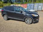 2013 FORD ESCAPE SEL à vendre chez Copart QC - MONTREAL