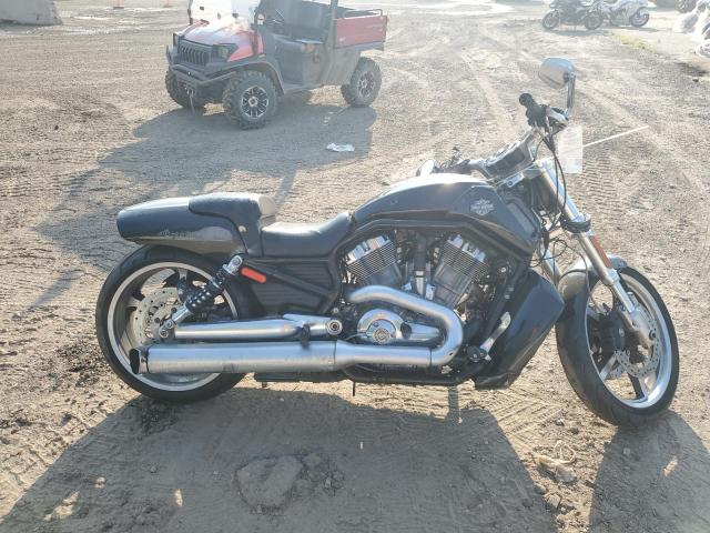 2015 Harley-Davidson Vrscf Vrod Muscle