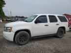 2014 CHEVROLET TAHOE POLICE   for sale at Copart ON - LONDON