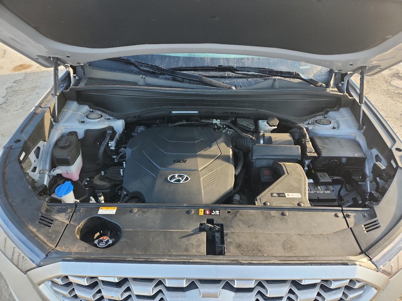 2021 Hyundai Palisade Sel VIN: KM8R4DHE4MU273312 Lot: 70177965