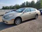 2002 LEXUS ES 300   for sale at Copart ON - COOKSTOWN