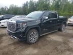 2023 GMC SIERRA K1500 DENALI   à vendre chez Copart ON - COOKSTOWN