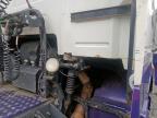 2005 VOLVO FH12 for sale at Copart BELFAST